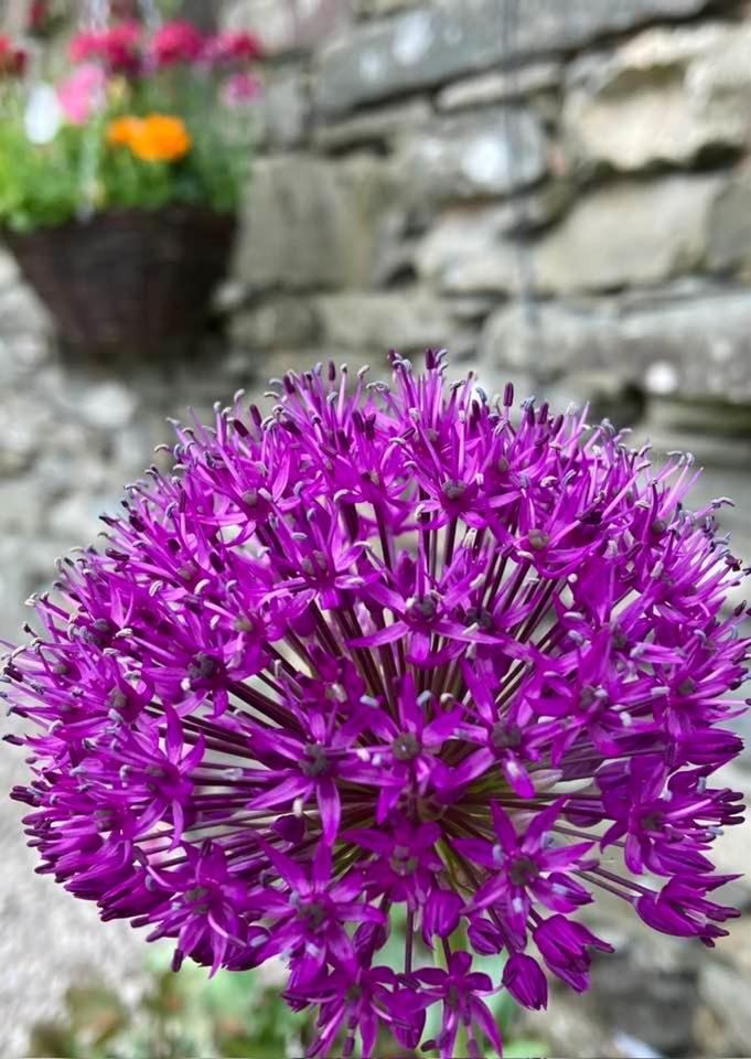 Crookabeck B&B Patterdale Buitenkant foto